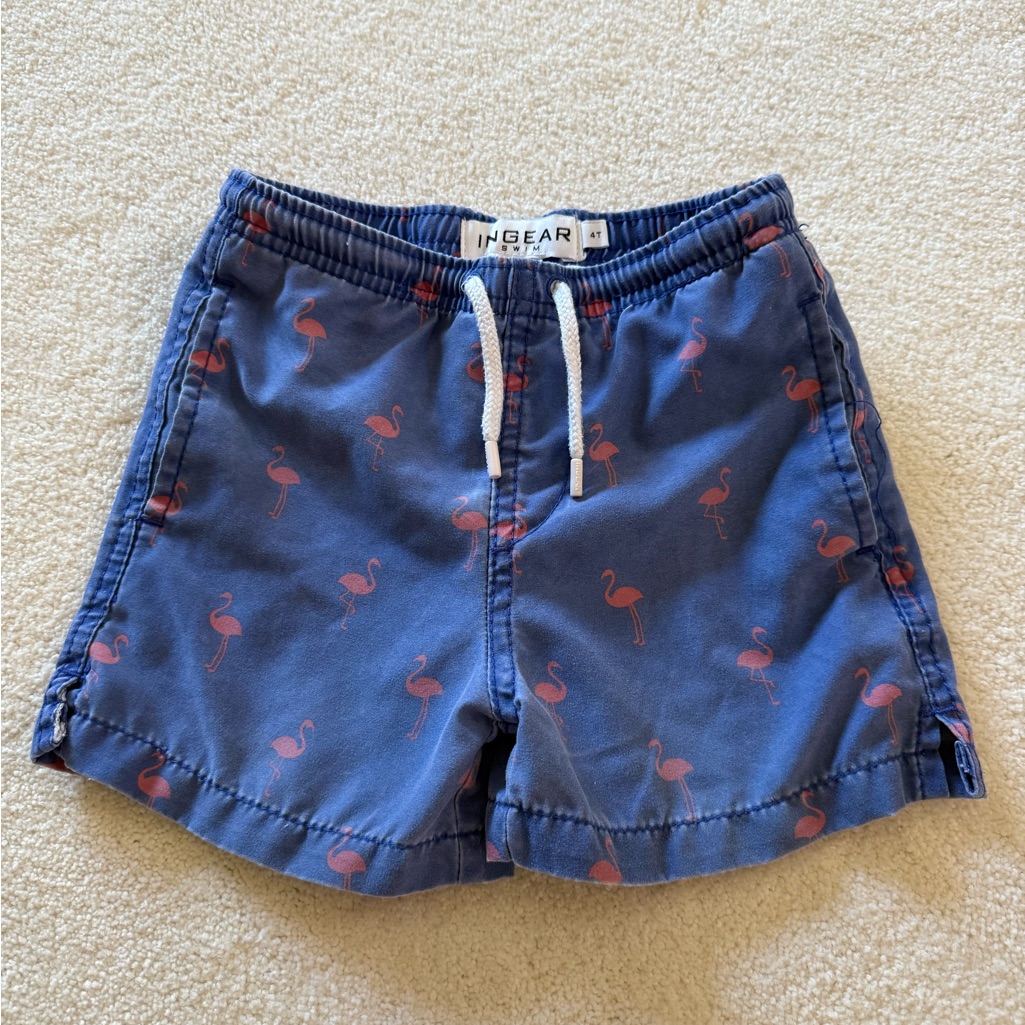 Ingear Swim 4t Swim Trunks